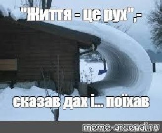 Мем про кукуху